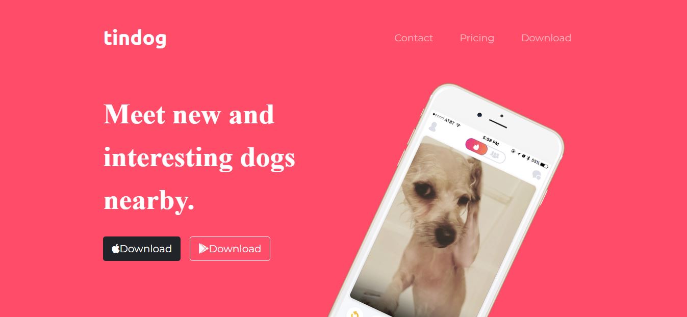 tindog-landing-page